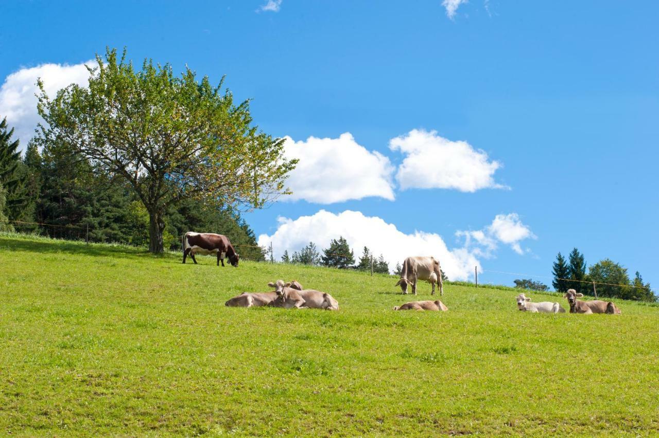 Gasthof Ebner Pfiffikus อัลดีโน ภายนอก รูปภาพ